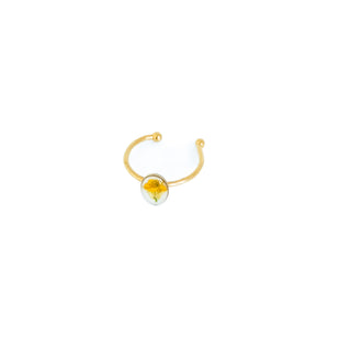 Anillo con nabo