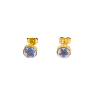 Aretes con no me ovides