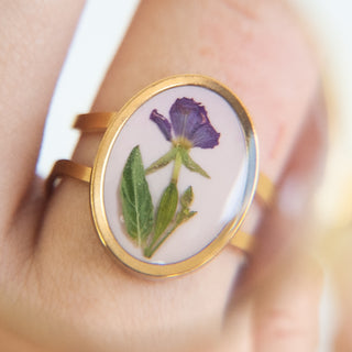 Anillo con hierba del golpe