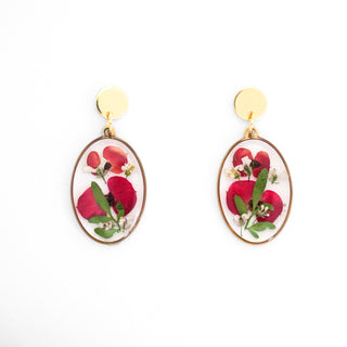 Aretes con euforbia, panalillo y ruda