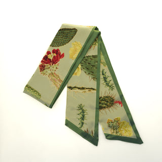 Twilly de cactáceas