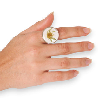 Anillo con santamaría y ruda