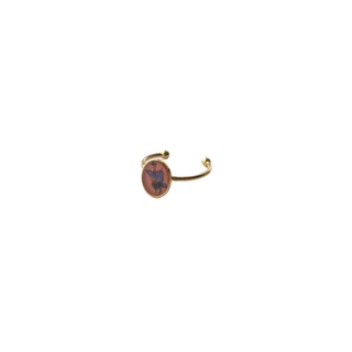 Anillo con Verónica