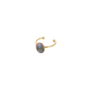 Anillo con pétalos de hortensia y hojas silvestres