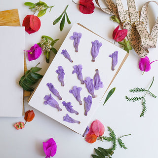 Prensa para flores naturales
