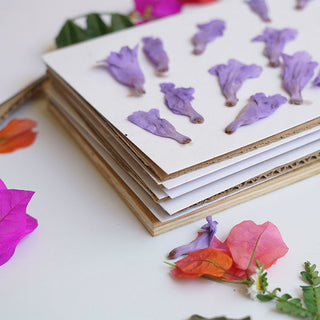 Prensa para flores naturales