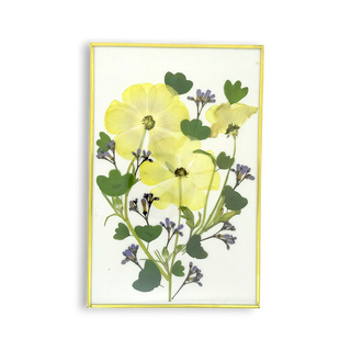 Cuadro con ranúnculos mariposa y botones de jacaranda