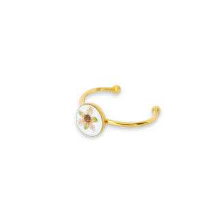 Anillo con mazorquilla