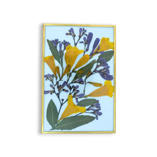 Cuadro con guayacán y jacaranda