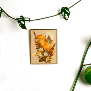 Painting with guaiacum and jacaranda