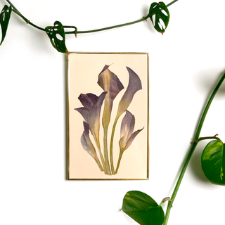 Painting with bougainvillea, jacaranda, and cineraria