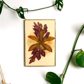 Cuadro con lisianthus, alpinia y orquídea