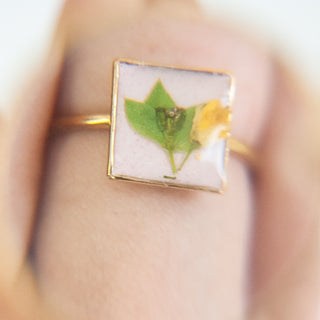 Anillo con nabo y blupero