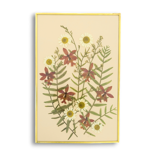 Cuadro con manuelitos, santamarías y hierbas silvestres