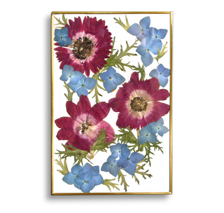 Cuadro con anémona y hortensias