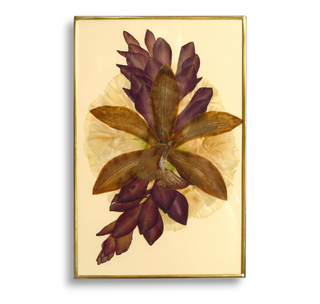 Cuadro con lisianthus, alpinia y orquídea