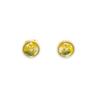 Aretes de botón con nabo y encaje