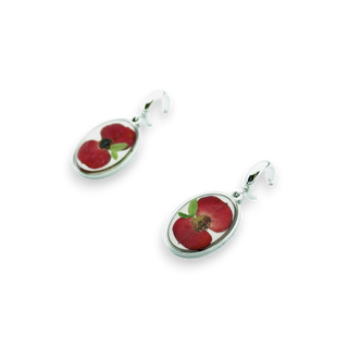 Aretes con euforbias