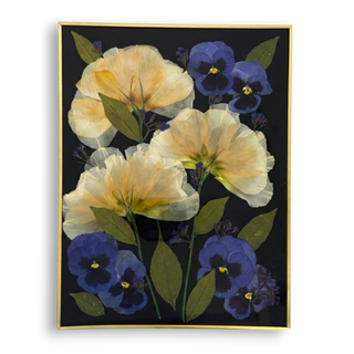 Cuadro con amapola californiana y pensamientos