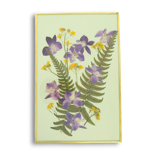 Cuadro con delfinia, nabo y helecho