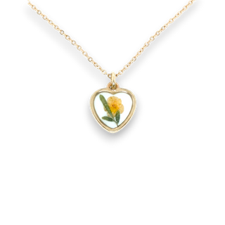 Dije con latana y ruda