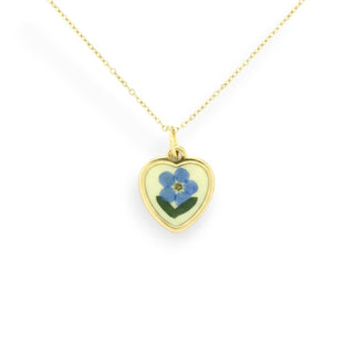 Dije con nomeolvides y ruda