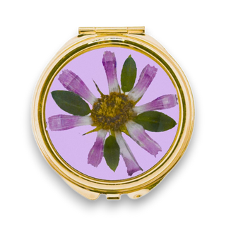 Espejo con flor de Cosmos