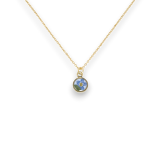 Dije con nomeolvides