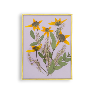 Cuadro con nelsia, margirita silvestre y parvifolia