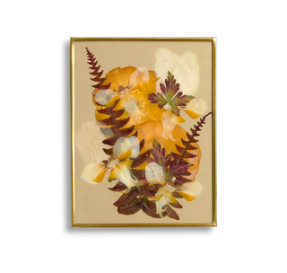 Painting with guaiacum and jacaranda
