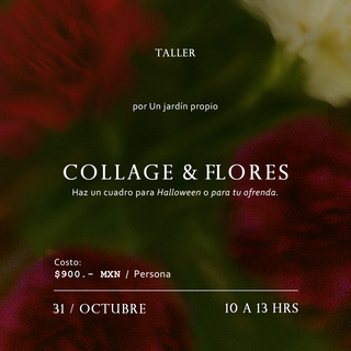 Taller de Collage y flores