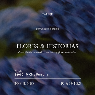 Taller Flores e historias